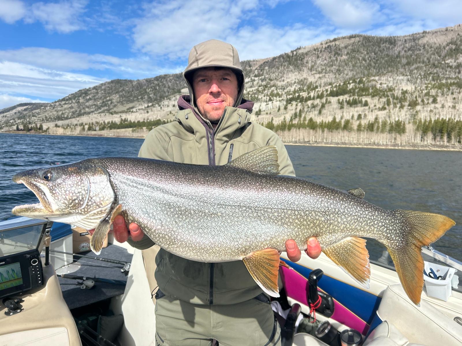 Heavy fish landed in windy conditions.