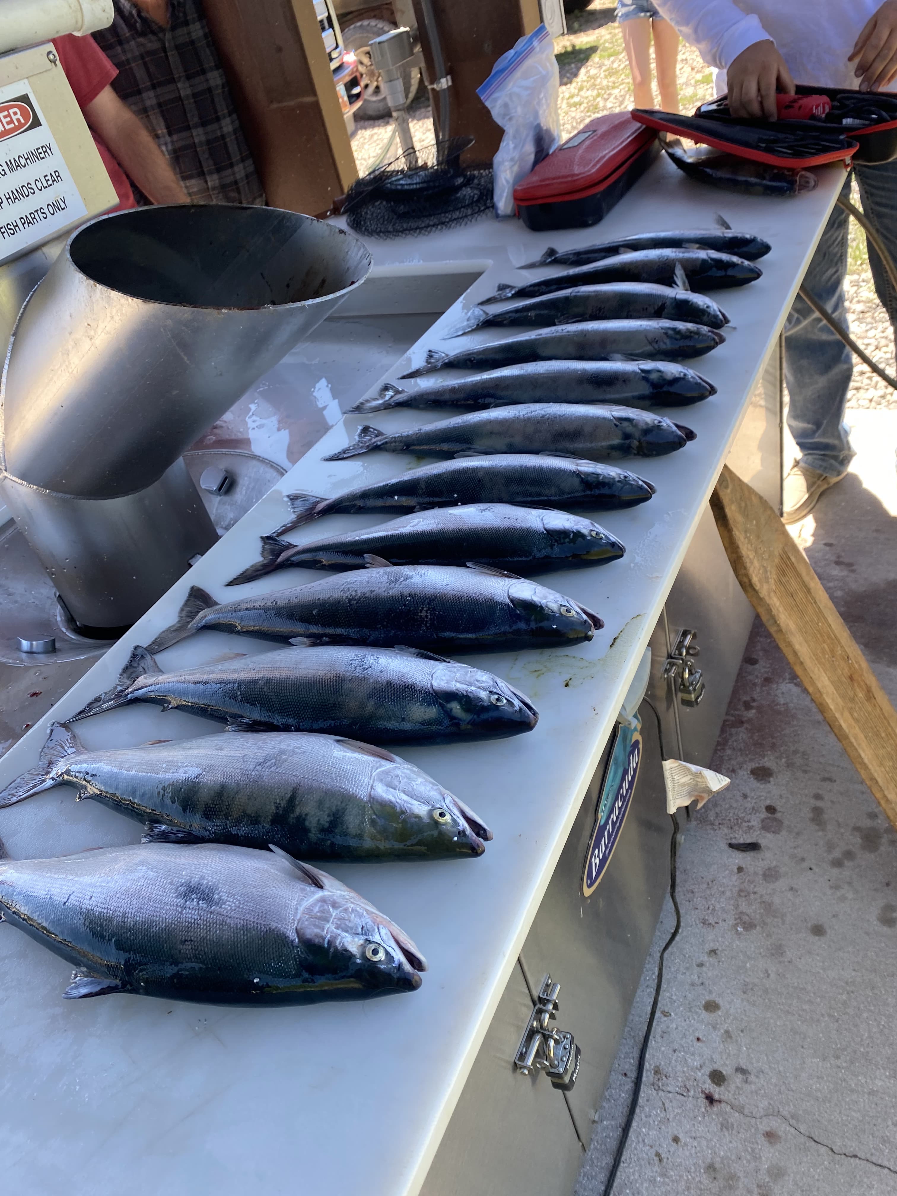 A full cleaning table after a great day.